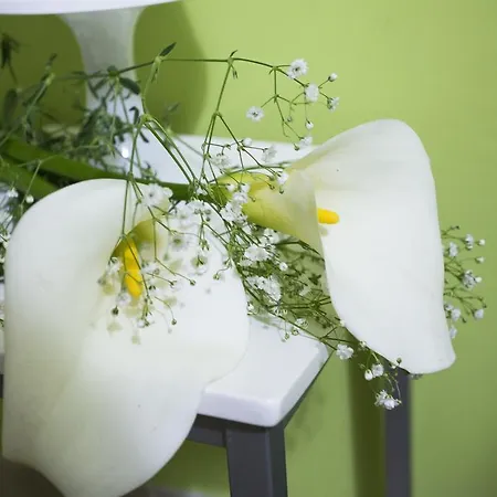 Terra Nobile - Portopalo