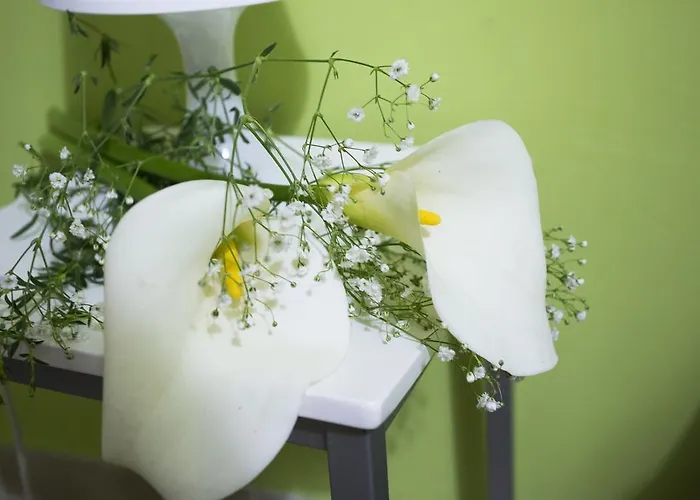 Terra Nobile - Portopalo